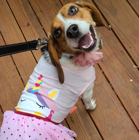 Meet your Posher, Michele - Picture 2 of 3